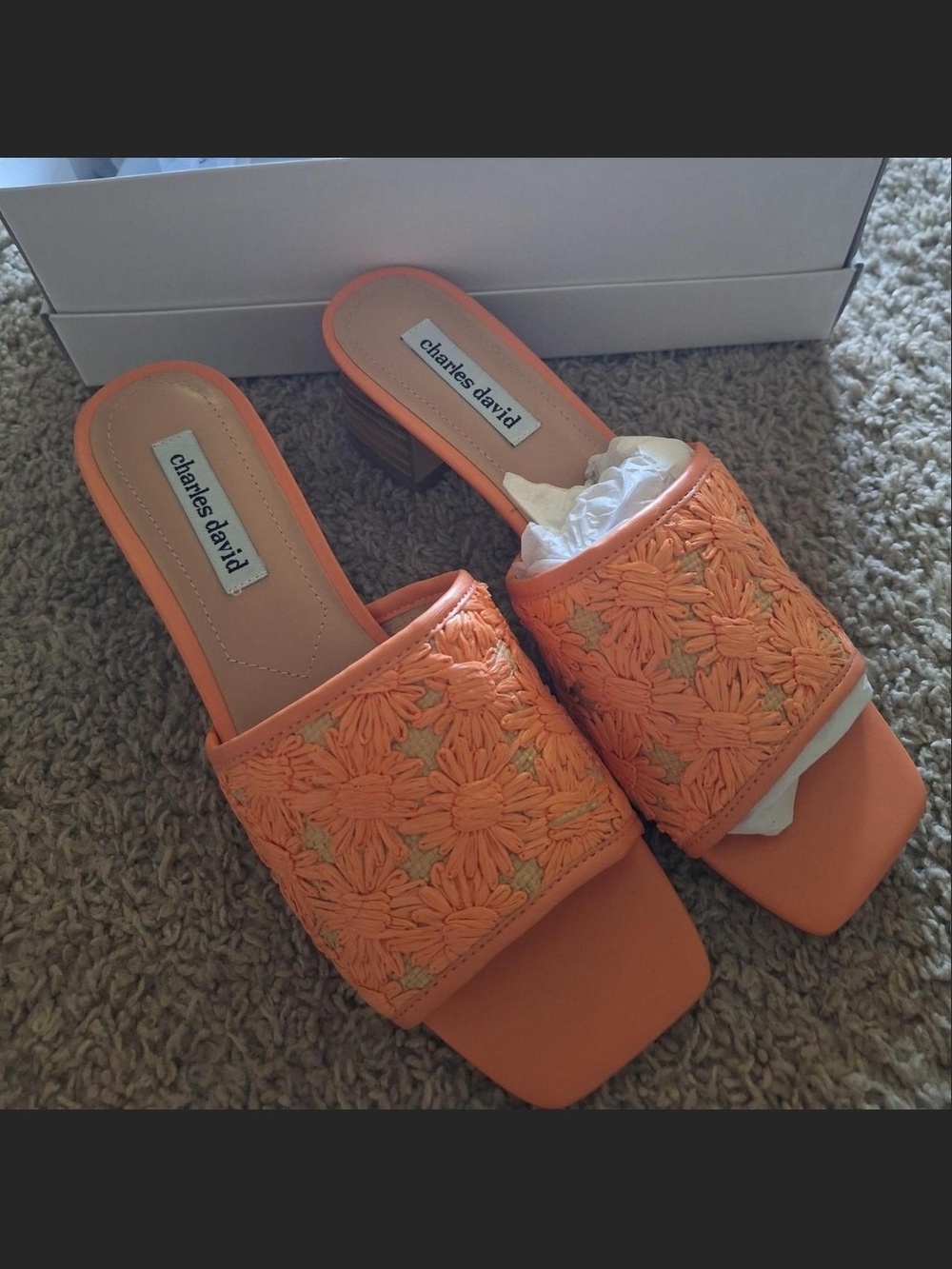 NIB Charles David Orange Embroidered Slide Sandals SIZE 9